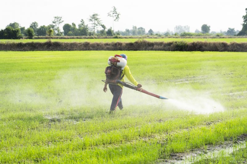 How Fumigation Works In Residential And Commercial Buildings