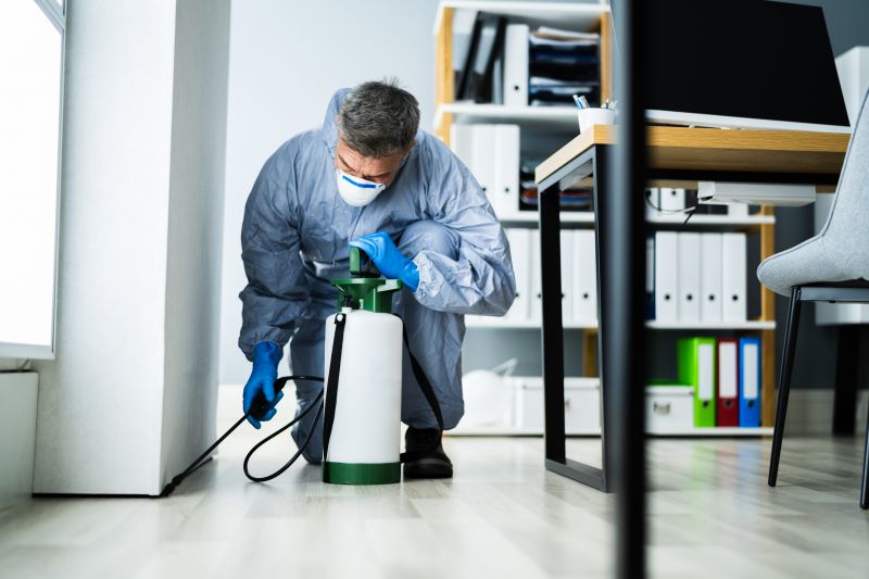 Pest Management Service in Katy, TX
