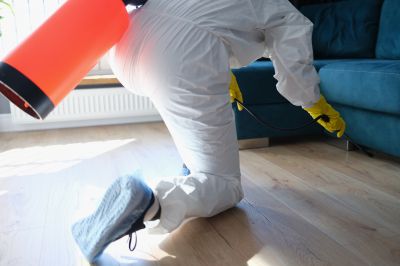 Spider Fumigation Service in Bellingham, WA