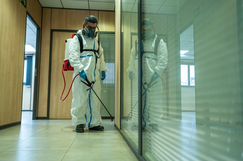 Spider Fumigation Service in Katy, TX