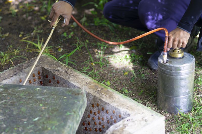 Spider Fumigation Service in Clarksville, TN