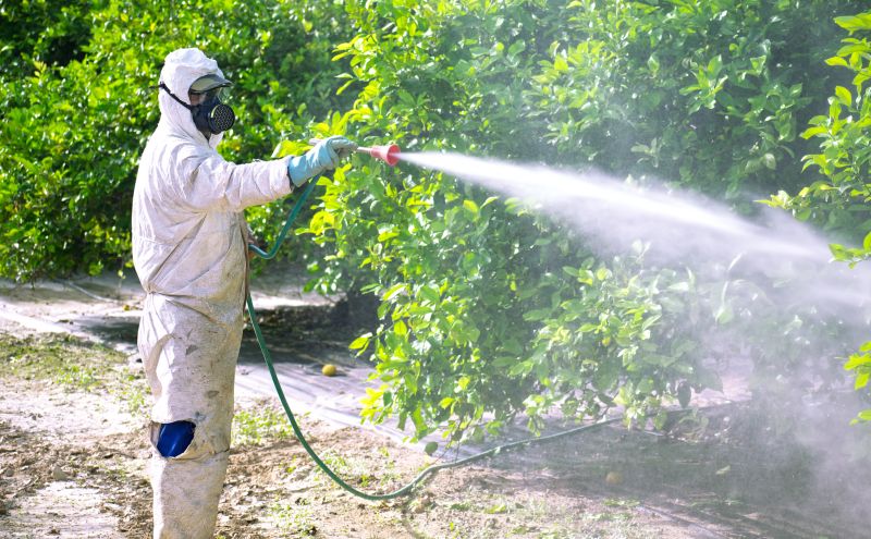 Commercial Fumigation in Lafayette, LA